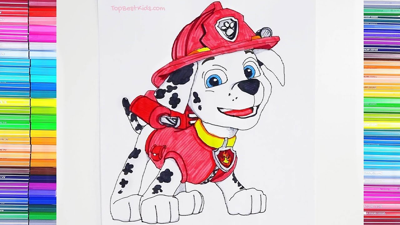 1280x720 How To Draw Color Marshall From Paw Patrol - Paw Patrol Marshall Drawing