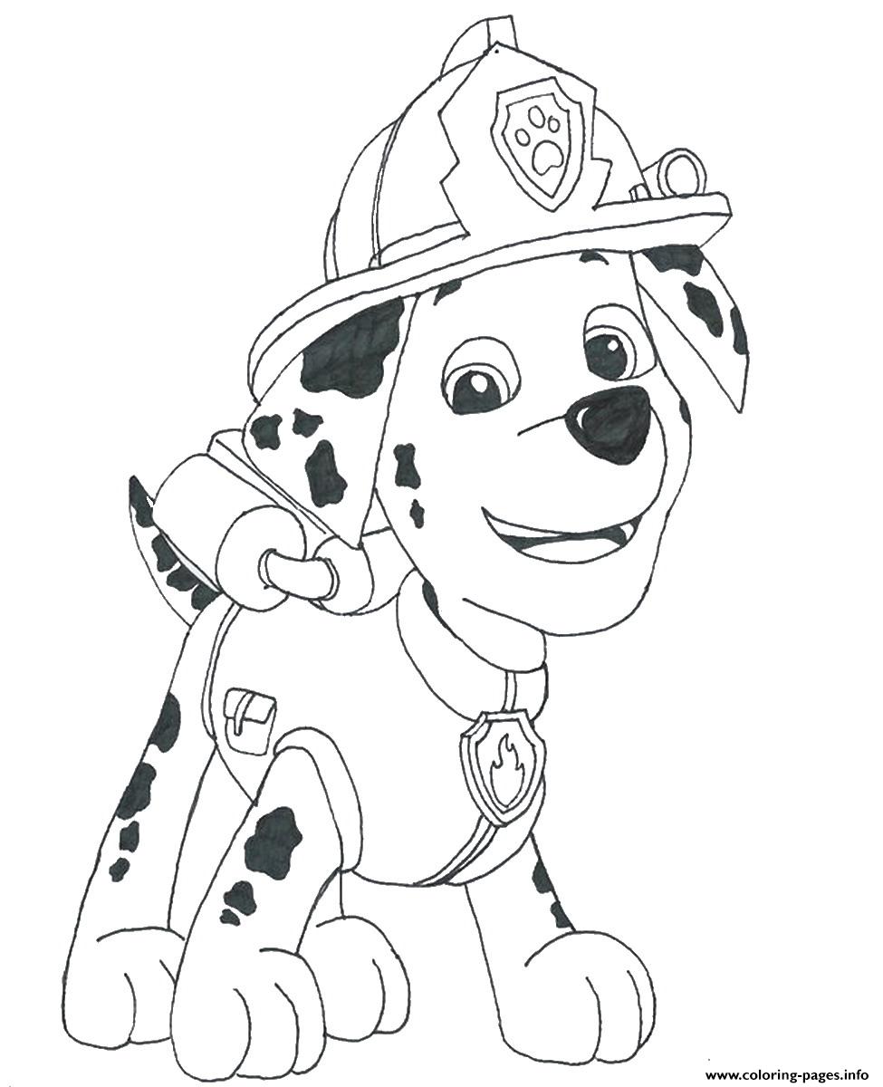 975x1200 Paw Patrol Marshall Draw Coloring Pages Printable - Paw Patrol Marshall Drawing