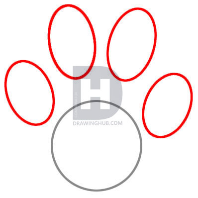 398x398 Draw A Paw Print, Step - Paw Print Drawing