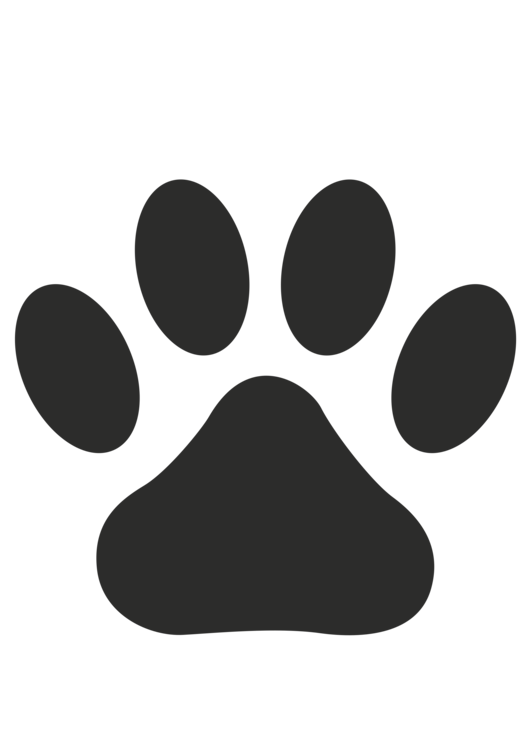 530x750 Drawing Raccoon Paw Transparent Png Clipart Free Download - Paw Print Drawing