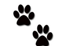 200x150 dog paw print clip art beautiful bear paw print drawing - Paw Print Drawing