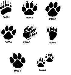 236x252 draw a dog paw print how to draw a paw drawing basics - Paw Print Drawing