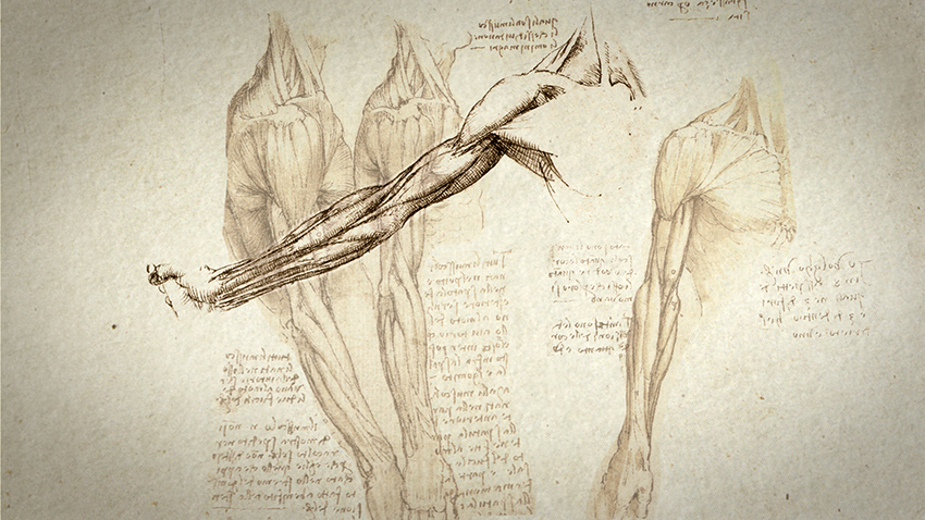 850x478 leonardo, the man who saved science six things you may not know - Pbs Drawing