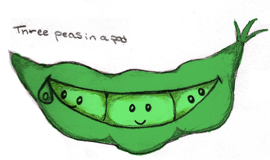 900x535 how to draw two peas in a pod - Pea Pod Drawing
