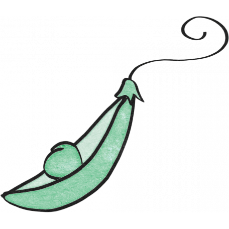 456x456 new day baby pea pod graphic - Pea Pod Drawing