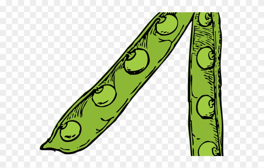 880x561 pea clipart plant producer - Pea Pod Drawing