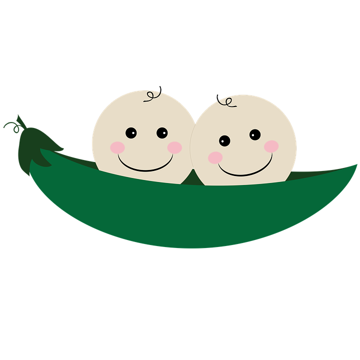 720x720 peas drawing baby transparent png clipart free download - Pea Pod Drawing