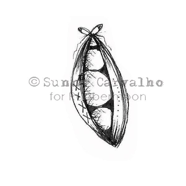 600x600 sunny carvalho - Pea Pod Drawing