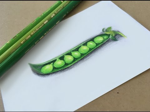 480x360 drawing a realistic pea pod - Pea Pod Drawing
