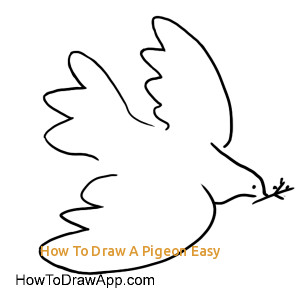 300x300 how to draw a pigeon easy peace dove to draw clipart best - Peace Dove Drawing