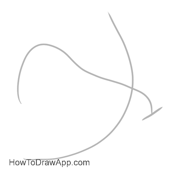 600x600 learn how to draw a dove of peace in pablo picasso's style - Peace Dove Drawing