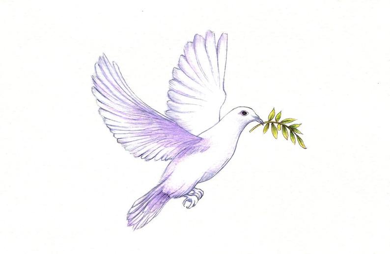794x518 peace dove print digital print of a drawing available etsy - Peace Dove Drawing