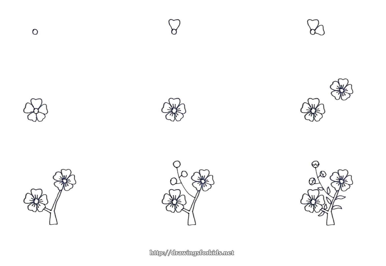 1600x1104 how to draw a peach blossom for kids - Peach Blossom Drawing