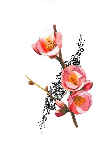 375x530 peach blossom drawing - Peach Blossom Drawing
