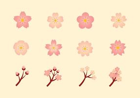 286x200 peach blossom free vector art - Peach Blossom Drawing