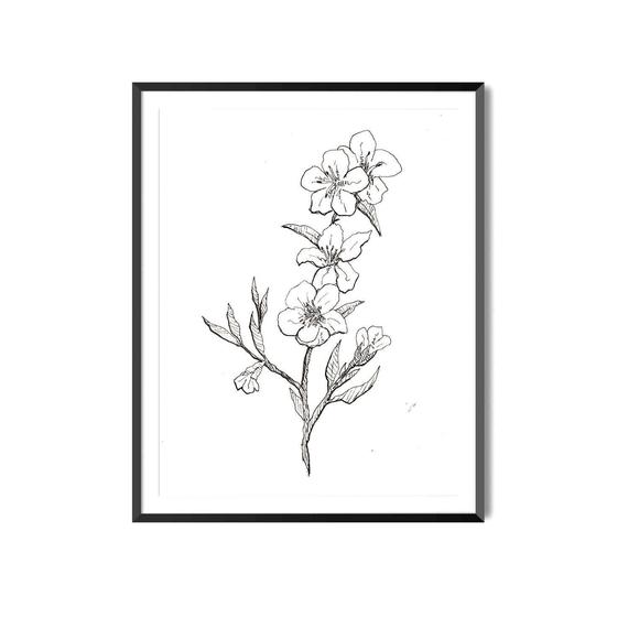 570x570 peach blossom print flower art botanical illustration wall etsy - Peach Blossom Drawing