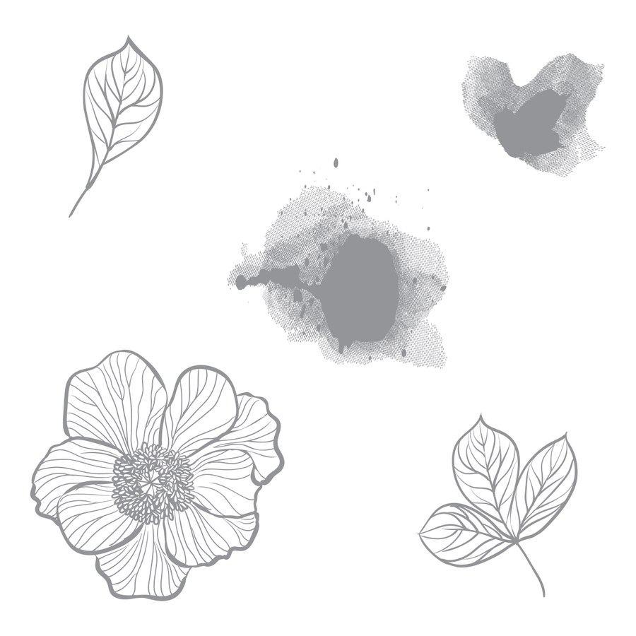 900x900 peach blossom stamp set - Peach Blossom Drawing