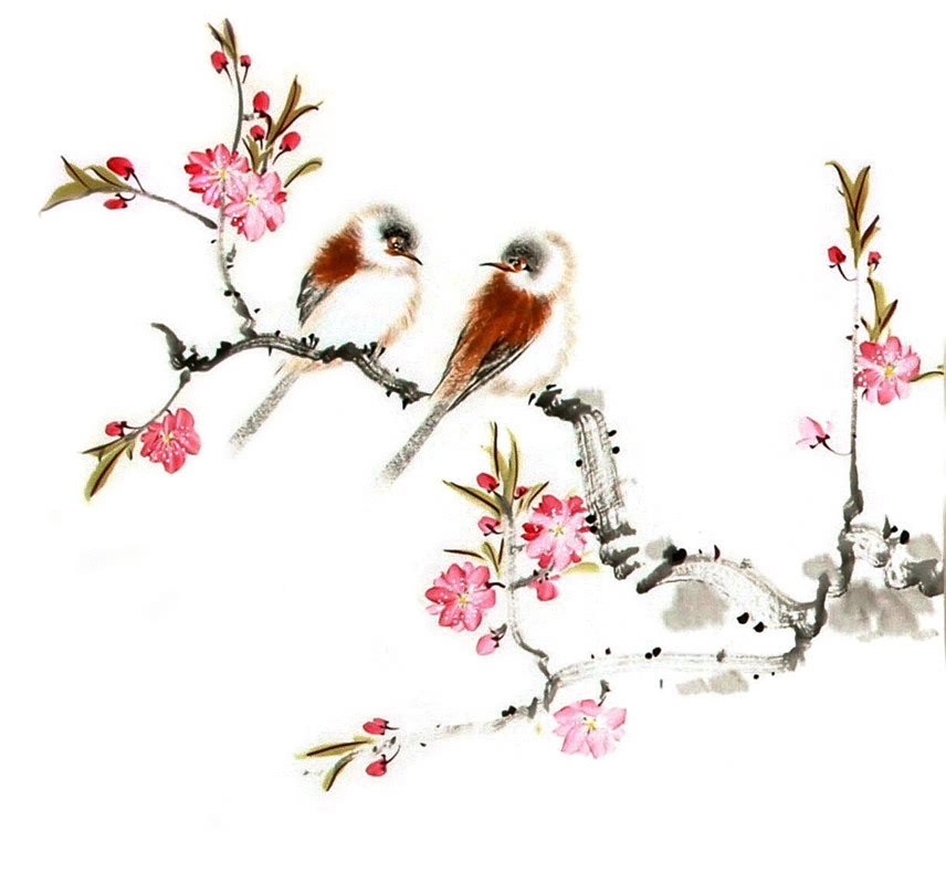 856x800 chinese peach blossom painting x x - Peach Blossom Drawing