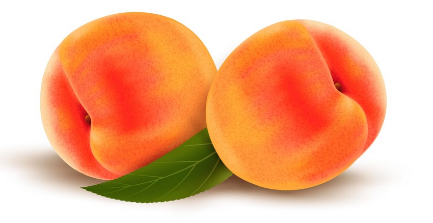 850x438 How To Draw Vector Peaches Using Gradient Mesh In Adobe Illustrator - Peach Drawing