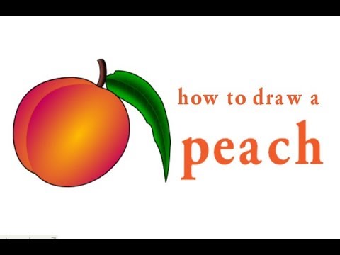480x360 How To Draw A Peach, How To Draw Peach Easy Drawing For Kids Step - Peach Drawing