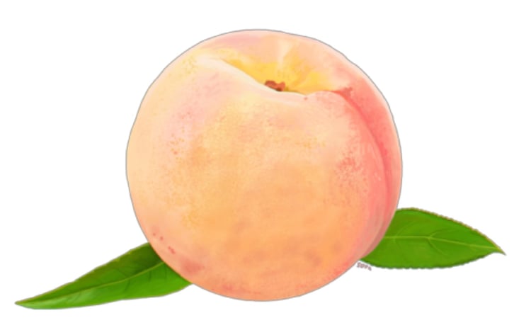 750x466 Peach Drawing Png Uploaded - Peach Drawing