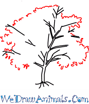 300x350 How To Draw A Peach Tree - Peach Tree Drawing