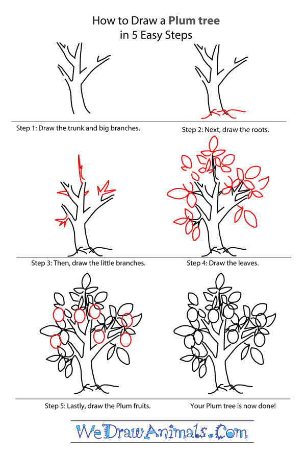 600x885 How To Draw A Plum Tree - Peach Tree Drawing