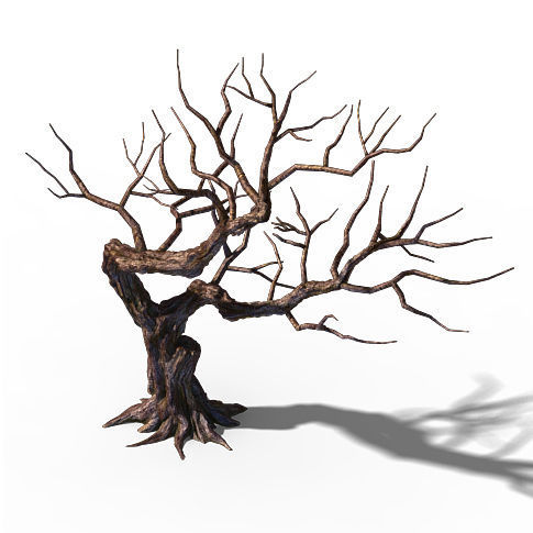 485x485 Peach Blossom Island - Peach Tree Drawing