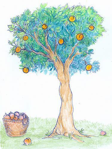 375x500 Peach Tree Drawing - Peach Tree Drawing