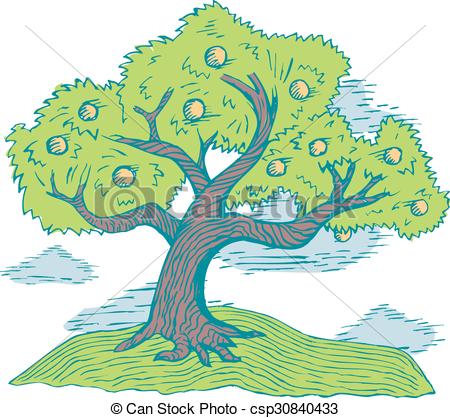 450x418 peach tree sketched peach tree - Peach Tree Drawing