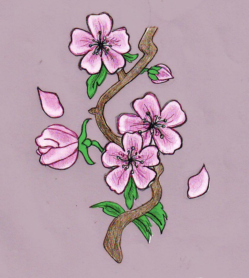 847x944 Peach Tree Drawing - Peach Tree Drawing