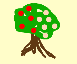 300x250 Apple Peach Tree Drawing - Peach Tree Drawing