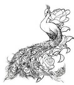 236x271 best tattoos images peacock drawing, peacock feather tattoo - Peacock And Flower Drawing Tattoo