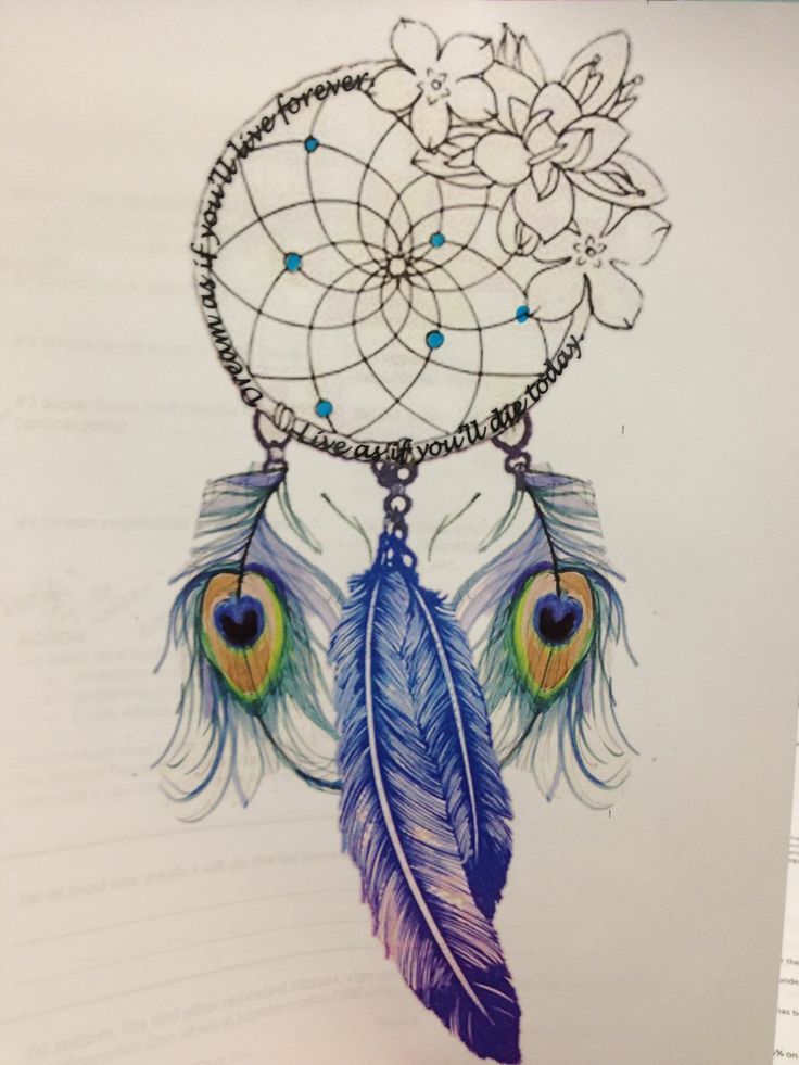 736x981 like the dream catcher part but def no peacock feathers idk - Peacock And Flower Drawing Tattoo