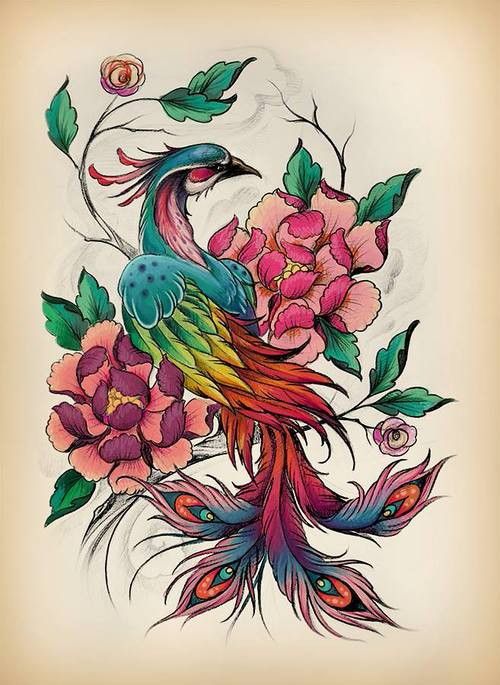 500x685 Multicolor Peacock And Peony Flowers Tattoo Design - Peacock And Flower Drawing Tattoo