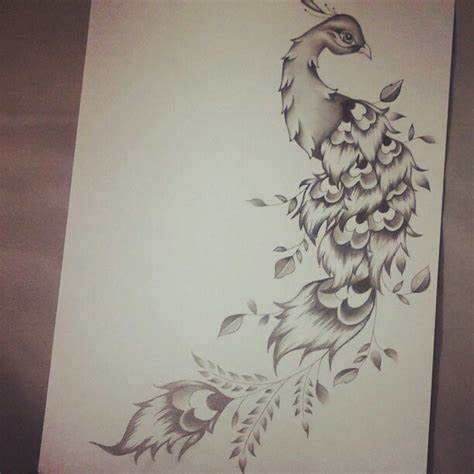 474x474 peacock and flower drawing tattoo gtgt - Peacock And Flower Drawing Tattoo