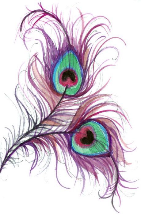 460x700 feathers art inspiration peacock feather tattoo, watercolor - Peacock And Flower Drawing Tattoo