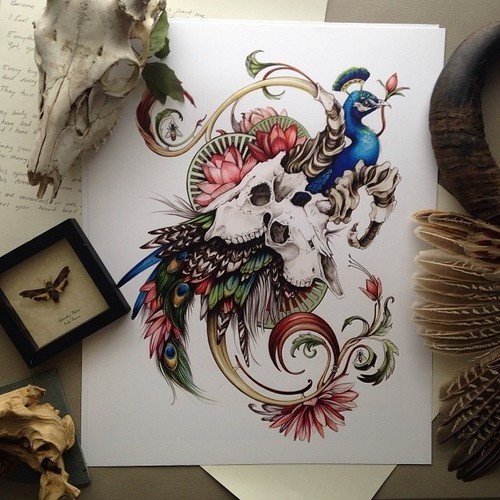 500x500 love pretty drawing art tattoo flowers skull colour feathers - Peacock And Flower Drawing Tattoo