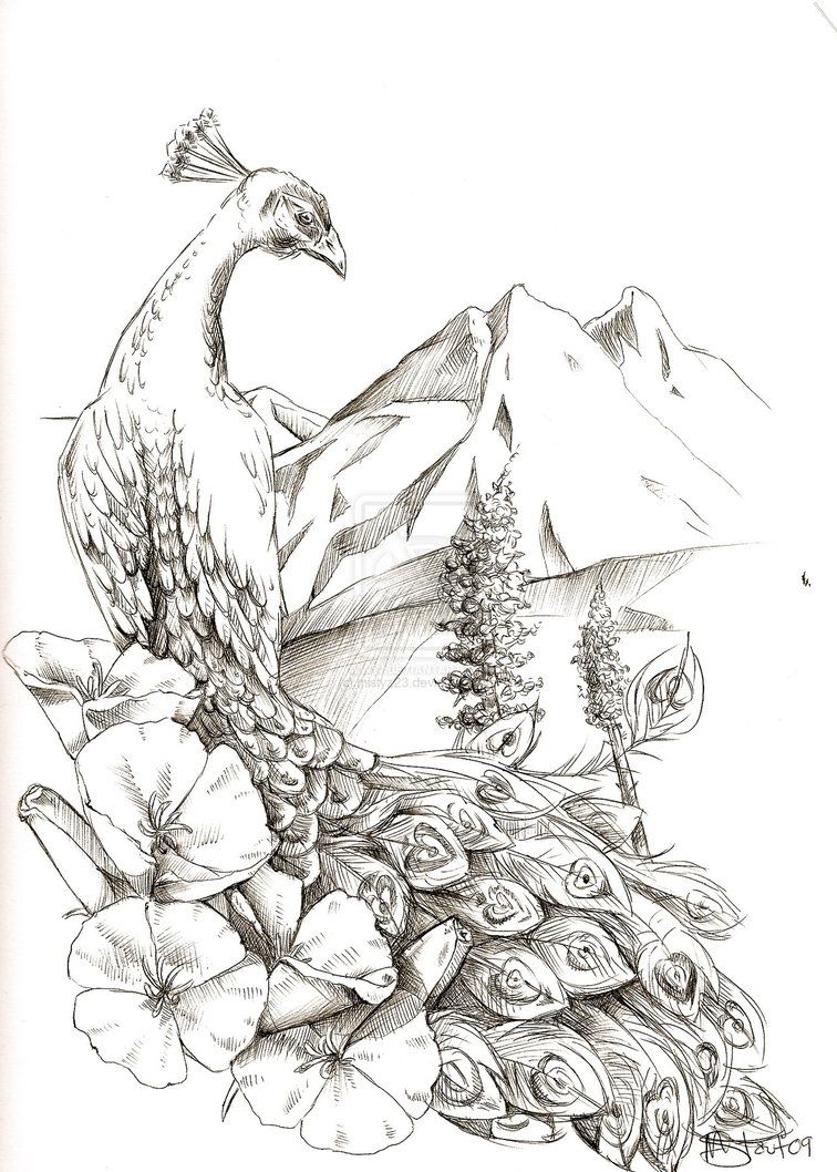 756x1058 Peacock Drawing Flower For Free Download - Peacock And Flower Drawing Tattoo