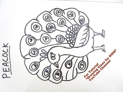 480x360 How To Draw Peacock Bird Step - Peacock Bird Drawing