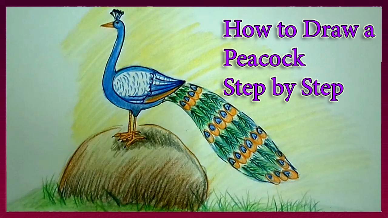 1280x720 How To Draw A Peacock Step - Peacock Bird Drawing
