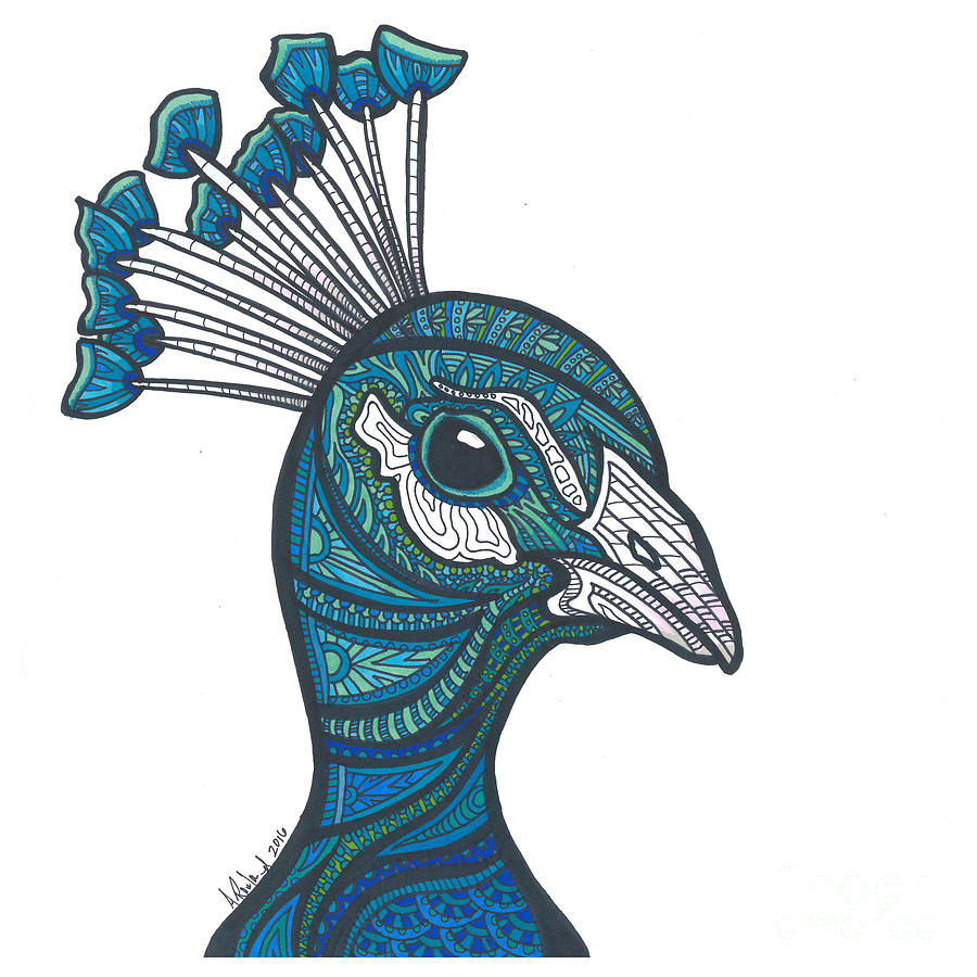 900x900 Peacock Bird Drawing - Peacock Bird Drawing