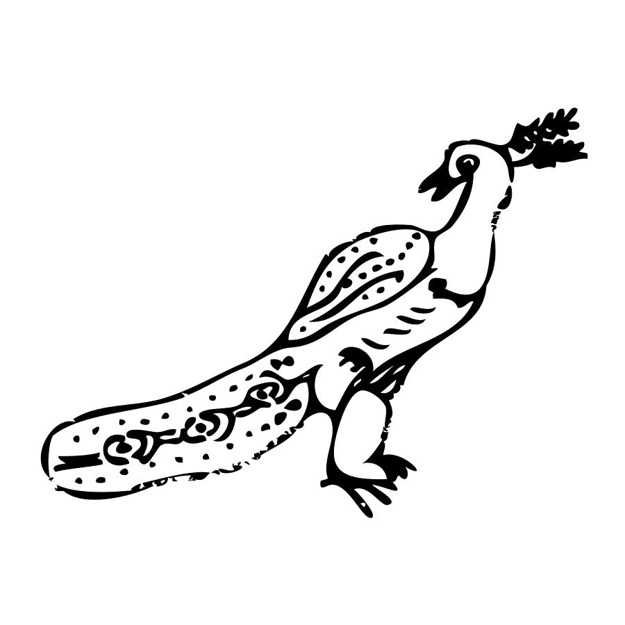 900x900 Peacock Bird Drawing - Peacock Bird Drawing