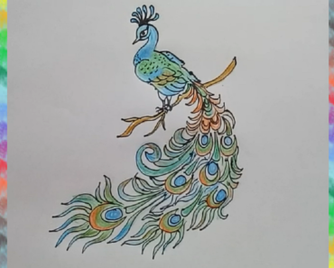 370x297 Peacock Bird Drawing Step - Peacock Bird Drawing