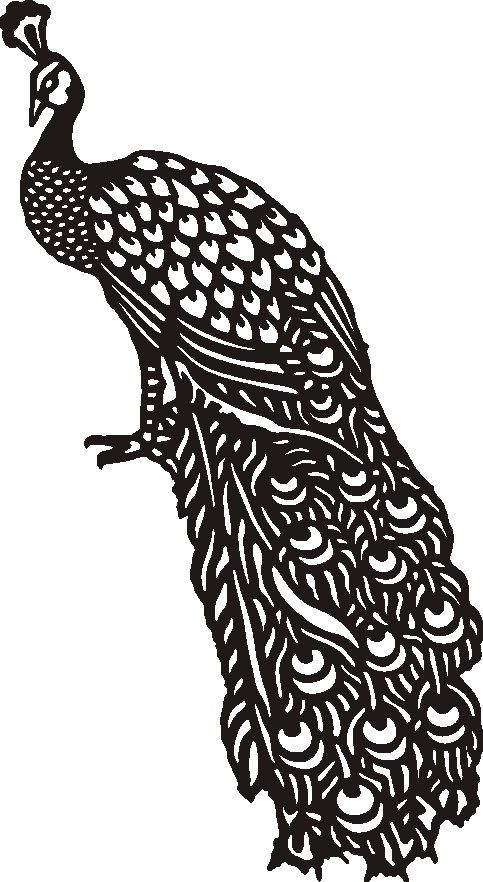 483x882 Huge Collection Of 'black And White Peacock Drawing' Download - Peacock Black And White Drawing