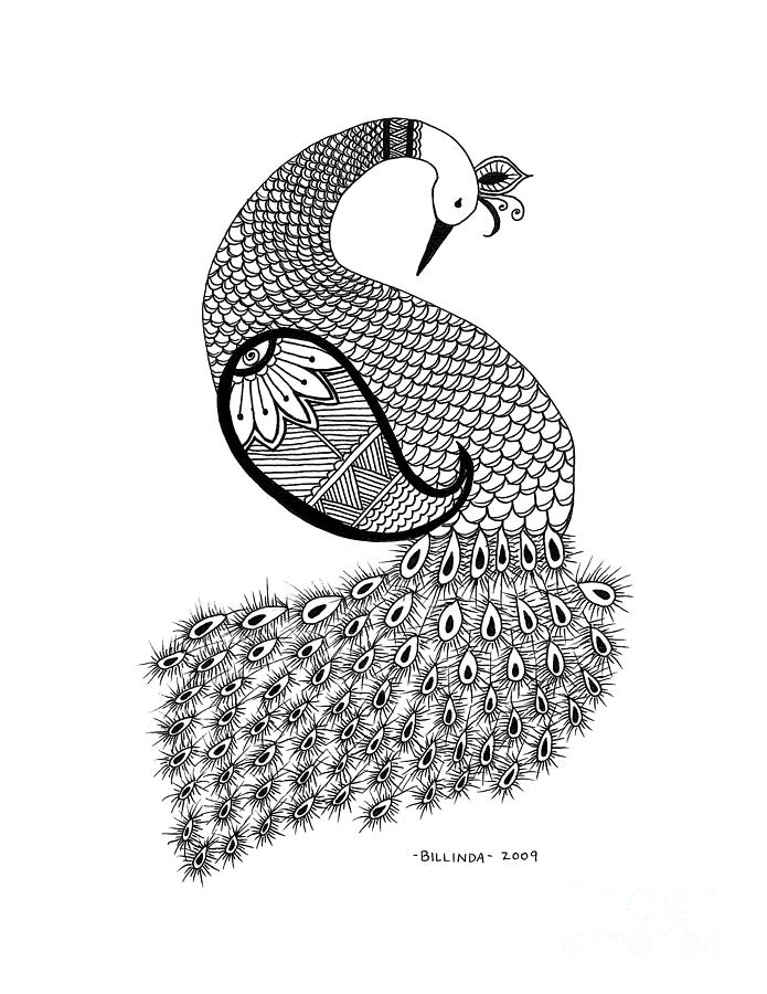 695x900 Peacock Drawing - Peacock Black And White Drawing