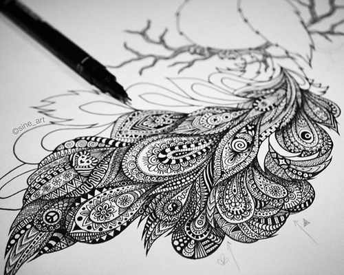 500x399 stunning drawing of a zentangle peacock - Peacock Black And White Drawing