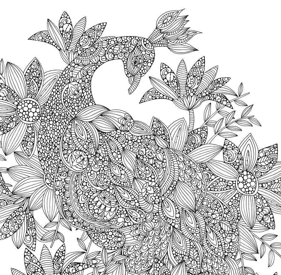 900x882 Black And White Peacock Drawing - Peacock Black And White Drawing