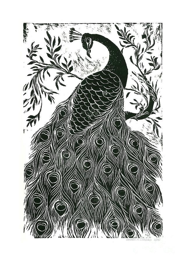642x900 Black And White Peacock Painting - Peacock Black And White Drawing