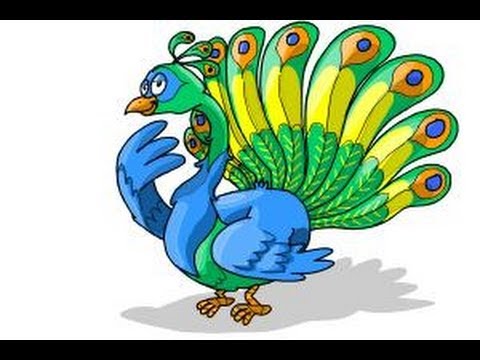 480x360 How To Draw A Cartoon Peacock - Peacock Cartoon Drawing